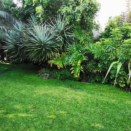 Mulberry Gardens Self Catering Daire Swakopmund Dış mekan fotoğraf