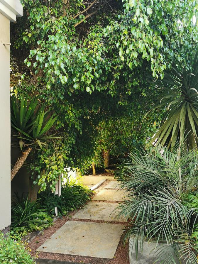 Mulberry Gardens Self Catering Daire Swakopmund Dış mekan fotoğraf